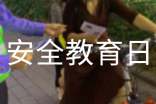 安全教育日班會教案