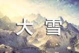 形容鵝毛大雪的唯美簡(jiǎn)短句子(精選200句)
