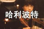 我和哈利波特作文