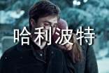 《哈利波特》觀后心得體會(huì)