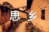 思鄉(xiāng)的寂寞作文