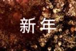 喜迎新年詩歌