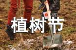 植樹節(jié)浪漫文案