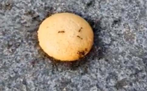 Λρ�^����ӛ��ͨ��70ƪ��