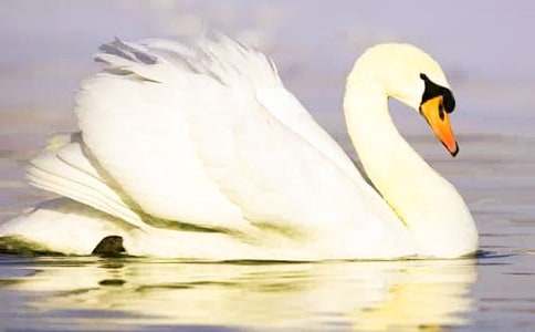 �P(gu��n)�����Z�������ģ�ͨ��78ƪ��