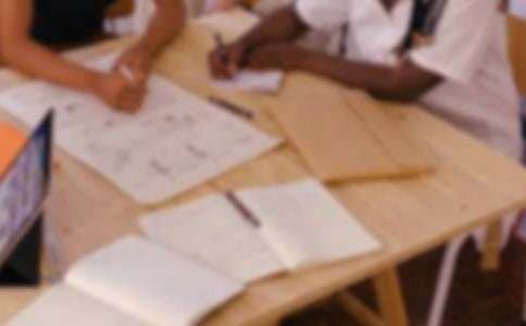 企業(yè)網(wǎng)絡(luò)營(yíng)銷策劃書范本