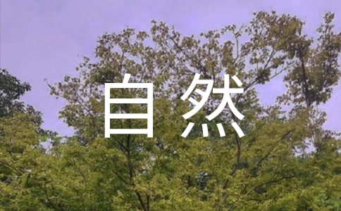大自然的聲音評課稿15篇(精品)