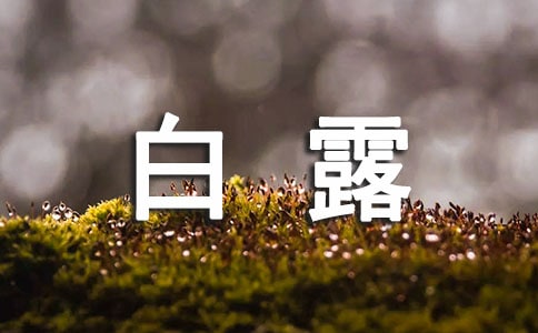 白露的空間祝福語3篇