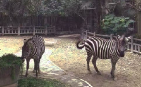 �����Y׌���R������(3ƪ)