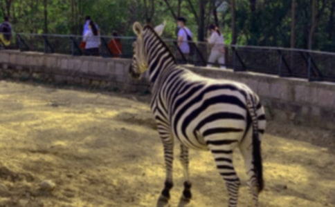 �Y׌���R����������������