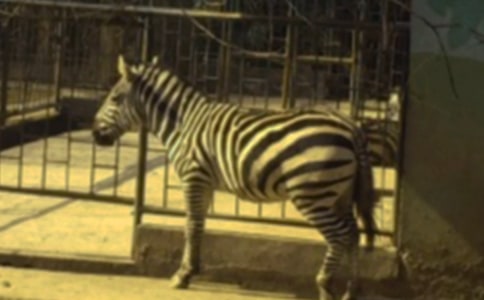 ���R���̰���ͨ��14ƪ��