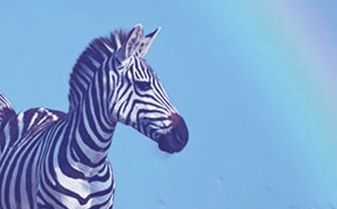 �Y׌���R�����������������ģ����x26ƪ��