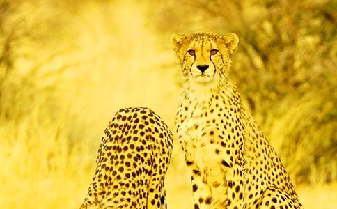 �P(gu��n)�ڱ��ӵ�����600��