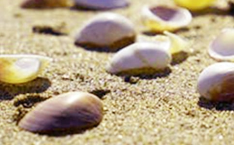 ���P(gu��n)ؐ���ă�(y��u)�����ӣ����x100�䣩