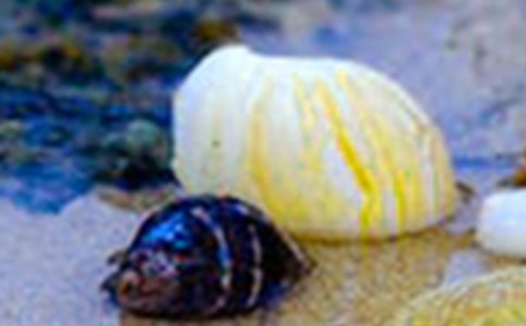 ���xؐ������300����ƪ