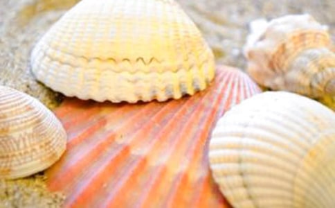 ��(sh��)�õ�ؐ������[�\��9ƪ]