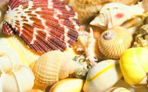 ؐ���е�ӛ��-ӛ��������650��