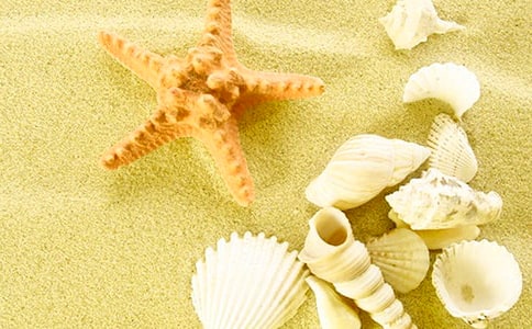 關(guān)于以貝殼為話題的寫事作文