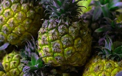 精選菠蘿作文300字4篇