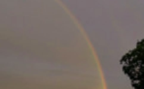 關于彩虹的作文:美麗的彩虹