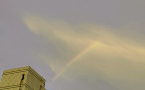 �o��һƬ�ʺ�����800��