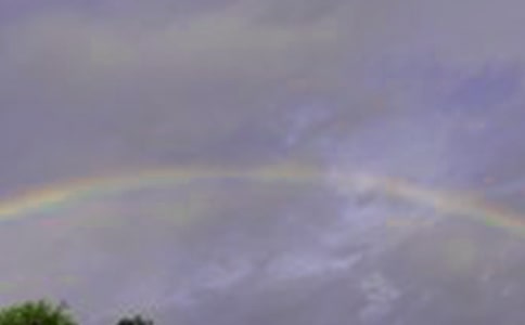 彩虹作文600字集錦4篇