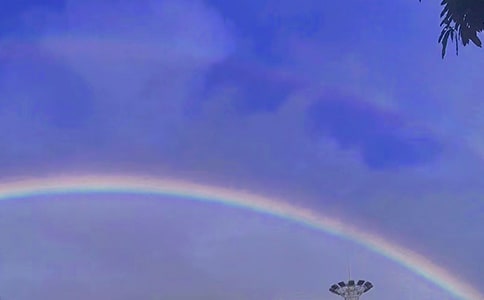 我心中的彩虹作文