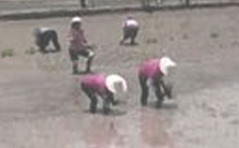 ��������600�֣����x22ƪ��