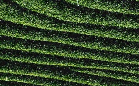 ���~�ꄓ(chu��ng)�I(y��)Ӌ(j��)����(sh��)�����x8ƪ��