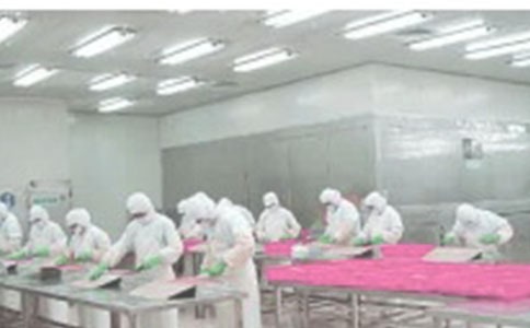 ���a(ch��n)܇�g�����ƶ�15ƪ