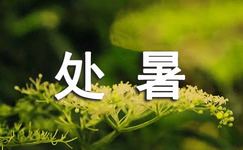 處暑給客戶的問候句子摘抄