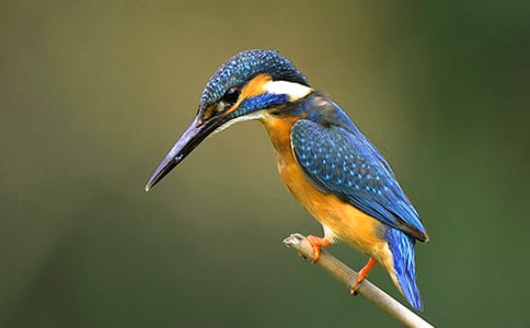 �����Ĵ��B�����ģ�ͨ��30ƪ��