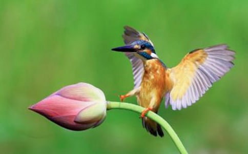 �n�Ĵ��B(ni��o)�ă�(y��u)��̌W(xu��)�O(sh��)Ӌ(j��)����