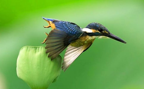 �n�Ĵ��B��(y��u)��̌W(xu��)�O(sh��)Ӌ����