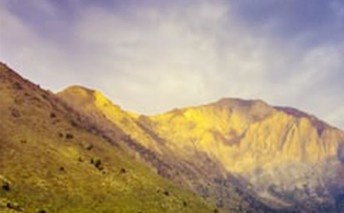 初三500字作文:走出大山