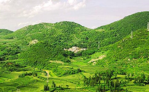 美麗的大山作文14篇