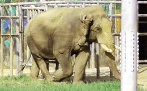 С�W(xu��)���꼉(j��)����750�֣������cС�B