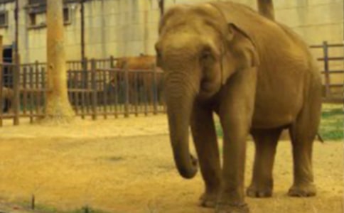 �����x������ͯԒ�����\��8ƪ