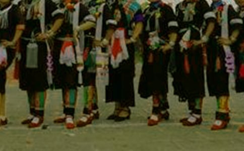 【精華】傣族作文600字4篇