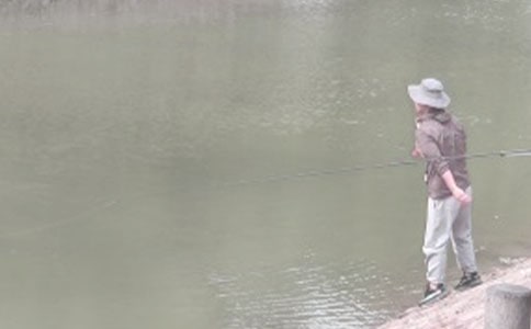 關(guān)于釣魚(yú)的作文500字8篇