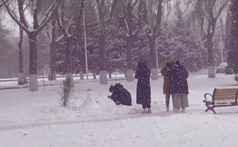 關(guān)于溫暖人心的冬日名句