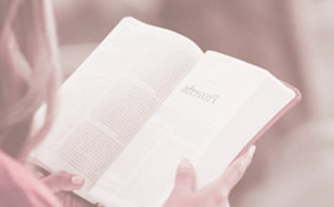 關(guān)于世界讀書日活動總結(jié)(精選5篇)