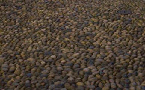 �����Z��ʯ������500��