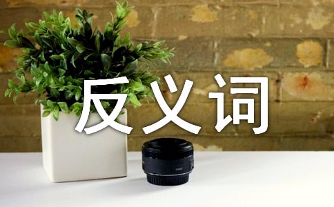 �P�ڪ�ľ��ķ��x�~