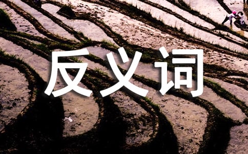 有關暫時的反義詞