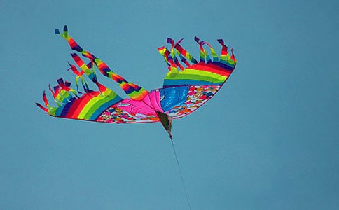 ������L(f��ng)�~������ƪ