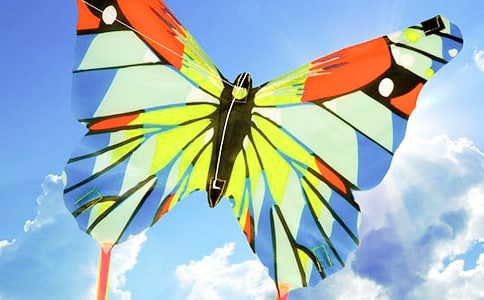 看圖寫(xiě)話(huà)放風(fēng)箏小學(xué)作文