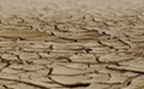 世界防治荒漠化和干旱日作文