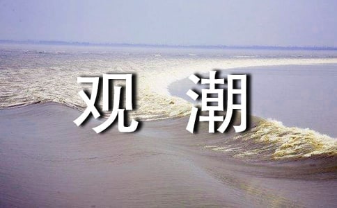 觀潮教學(xué)反思(精選12篇)