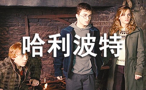 �����������c���汭������600��